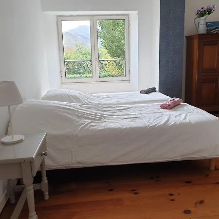 La bergerie, maison spacieuse avec grand jardin, vue sur les Pyrénées Lourdes Exterior foto